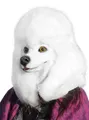 Produktbild: Metamorph Verkleidungsmaske Weißer Pudel Maske, Überzeugend echt aussehende Vollmaske eines frisierten Pudels