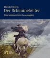 Produktbild: Theodor Storm: Der Schimmelreiter.Eine kommentierte Leseausgabe Gerd Eversb