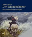 Produktbild: Theodor Storm: Der Schimmelreiter.Eine kommentierte Leseausgabe Gerd Eversberg