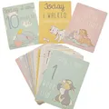 Produktbild: Disney Baby Milestone Karten - Pack 30