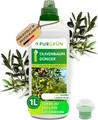 Produktbild: Purgrün Olivenbaum-Dünger 1 Liter, Organisch-mineralischer Flüssigdünger (8+8+6)