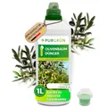 Produktbild: Purgrün® Olivenbaum-Dünger 1 Liter – Organisch-mineralische Rezeptur – Premium-Flüssigdünger mit Spurennährstoffen – NPK 8+8+6 – Für gesundes Wachstum & aromatische Oliven – Mit Guano & Aqua Plus