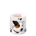 Produktbild: Kerze klein – Candle small – Format: Ø 7,5 cm x 9 cm – Brenndauer: 35 Std. - 1 K