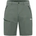 Produktbild: Jack Wolfskin Herren Pico Trail Shorts (Größe XS, gruen)