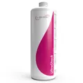 Produktbild: SpaBalancer UltraShock 1 Liter