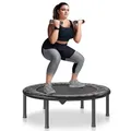 Produktbild: VEVOR Faltbares Mini-Trampolin Fitness-Rebounder 934 mm, 100 kg belastbares Trainingstrampolin, Rebounder Sport Trampolin für Erwachsene für Indoor-/Gartentraining