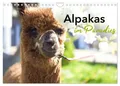 Produktbild: Alpakas im Paradies (Wandkalender 2026 DIN A4 quer), CALVENDO Monatskalender