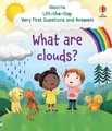Produktbild: Katie Daynes Very First Questions and Answers What are clouds? (Kartonbuch)