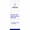 Produktbild: PRUNUS SPINOSA SUMMITATES Urtinktur 50 ml PZN01613992