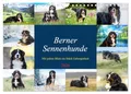 Produktbild: Berner Sennenhunde - Mit jedem Blick ein Stück Geborgenheit (Wandkalender 2026 DIN A4 quer), CALVENDO Monatskalender: Bilder die Herz und Seele berühren (CALVENDO Tiere)