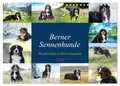 Produktbild: CALVENDO Wandkalender Berner Sennenhunde - Mit jedem Blick ein Stück Geborgenheit (Wandkalen