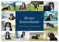 Produktbild: Jana K. Fotografie | Berner Sennenhunde - Mit jedem Blick ein Stück...