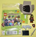 Produktbild: Lego Minifiguren / Minifigures  Serie 27 (71048)