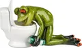 Produktbild: Frosch Froschhausen vor Toilette Spaß Dekoration 8cm Sammelfigur