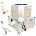 Produktbild: Geflügelrupfmaschine Rupfmaschine Nassrupfmaschine für Gänse u. Puten Beeketal