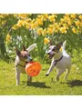 Produktbild: KONG Dog Toy Jumbler Ball Medium/Large 14cm 340917