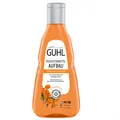 Produktbild: Guhl Feuchtigkeitsaufbau Shampoo 250 ml