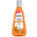 Produktbild: 250ml Guhl Feuchtigkeitsaufbau Shampoo trockenes und sprödes Haar
