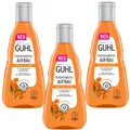 Produktbild: 3x 250ml Guhl Feuchtigkeitsaufbau Shampoo trockenes und sprödes Haar