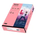 Produktbild: inapa farbiges Druckerpapier, buntes Papier tecno Colors: 160 g/m², A4, 250 Blatt, rosa