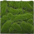 Produktbild: Jangal Wandpaneel Modular Wall Forest Green Big Bulk Moos 52 x 52 cm