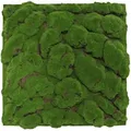 Produktbild: Jangal Akustikpaneel Modular Wall System Design Moos, Hellgrün, Naturmaterialien, 52x52x2.6 cm, Handmade Quality, Montage ohne Bohren, Tapeten & Wandverkleidungen, Akustikpaneele