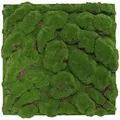 Produktbild: Jangal - Modular Wall Akustik 3d Paneele 520 X 520 Mm Forest Green Big Bulk Design Moos Kunst Pflanzwand Moospaneele