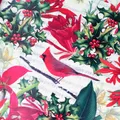 Produktbild: Geschenkpapier Rotkardinal & Stechpalme 70cm x 2m Rolle Creme / Rot