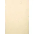 Produktbild: Exacompta Deckblätter Forever 2785c, A3, Lederkarton, elfenbein, 270 g/m², 100 Stück