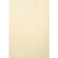 Produktbild: Exacompta 2785C Packung mit 100 Einbanddeckel Evercover für Bindesysteme Forever, für DIN A3, 270g, Elfenbein, 1 Pack