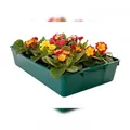 Produktbild: BURI Universal Gärtnerbox Pflanzschale 58x32x11cm Anzuchttopf grün Pflanzwanne Blumenkaste