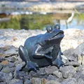 Produktbild: Figur Wasserspeier Frosch für Teich CLGarden Wasserspiel Springbrunnen Deko