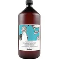 Produktbild: Davines Naturaltech Well-Being Shampoo 1000 ml