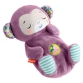 Produktbild: Fisher-Price 0 (26 cm) (JLH41)