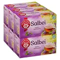 Produktbild: Teekanne Salbei, 6er Pack, 6 x 20 Teebeutel (6 x 30 g)