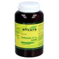 Produktbild: Cordyceps Cs-4 Extrakt Kapseln 120 St