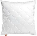 Produktbild: sleepling extra pralles Kopfkissen 60x60 cm, Allergiker Bett Kissen, Polster, Bettkissen, Schlafkissen 60 x 60 cm, Pillow, waschbar, Made in EU, Ökotex, Komfort 400