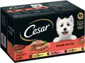 Produktbild: Cesar CESAR® Schale Multipack Klassiker Selektion 8 x 150g, Nassfutter für: Hunde