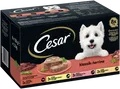 Produktbild: CESAR® Schale Multipack Klassiker Selektion 8 x 150g