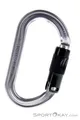 Produktbild: Petzl OK Ball Lock Karabiner-Grau-One Size