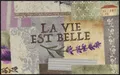 Produktbild: Salonloewe Fußmatte La Vie est Belle, Waschbare Wohnmatte 75 x 120 cm