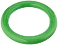 Produktbild: BECO Tauchring Schwimmring, Wurfring Wasserspielzeug massiv für Kinder, grün, One size, 9607