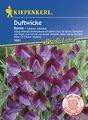 Produktbild: Kiepenkerl 3661 Duftwicke Ramia (Duftwickensamen)