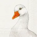 Produktbild: 20 Servietten Farm Goose Einzelne Gans Tiere Vogel Haustiere Bauernhof 33x33cm