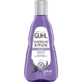 Produktbild: Guhl Silberglanz & Pflege Shampoo (250 ml, Flüssiges Shampoo) (024988)