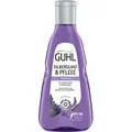 Produktbild: GUHL SILBERGLANZ & PFLEGE Shampoo 250 ml