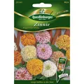 Produktbild: Quedlinburger Zinnie 'Peppermint', 1 Tüte Samen
