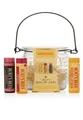 Produktbild: BURT'S BEES Lippenbalsam 500578, Burt's Balm Jar Beewax Pomgranate Hibiscus