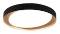 Produktbild: Reality Leuchten LED Deckenleuchte Zeta R62712402, Kunststoff schwarz oder goldfarbig, inkl. 24 Watt LED, Fernbedienung