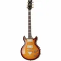 Produktbild: Ibanez AR420-VLS